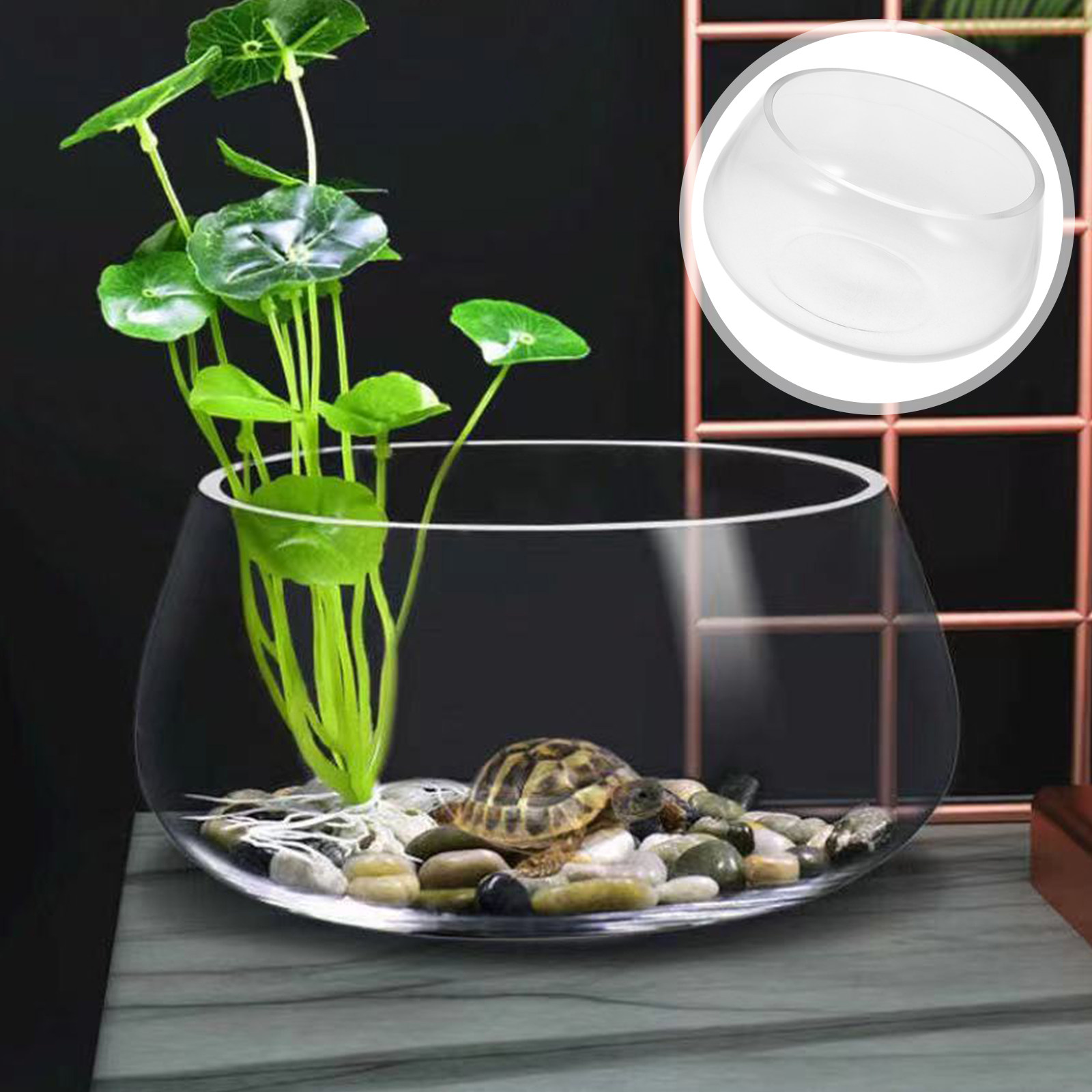 Planted Aquarium Mini - Round Mini Aquarium Tank Clear Glass