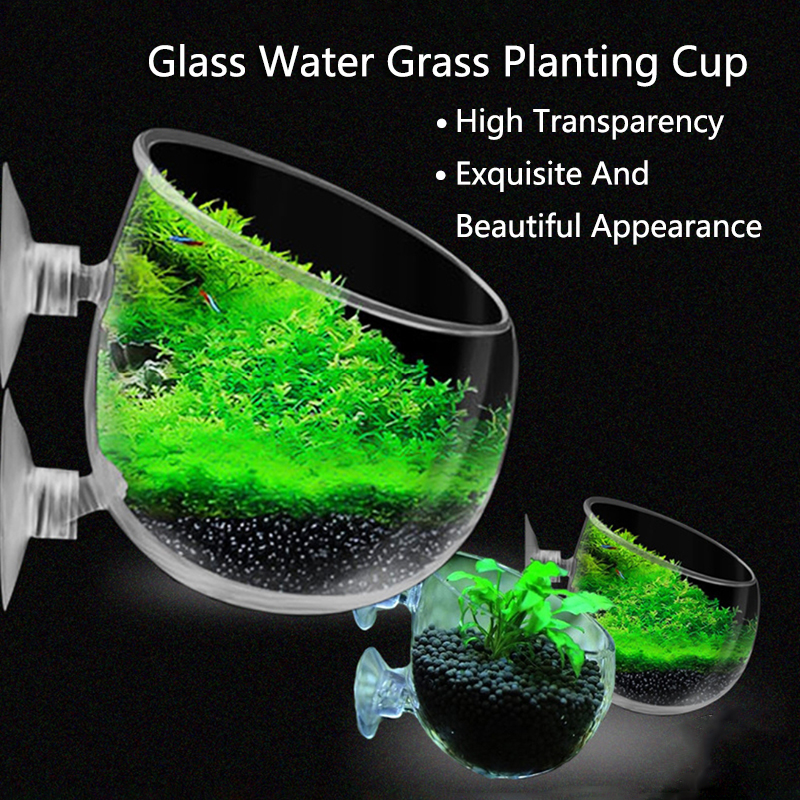 Planted Aquarium Mini - Glass Aquarium Decoration Hanging Cup Fish