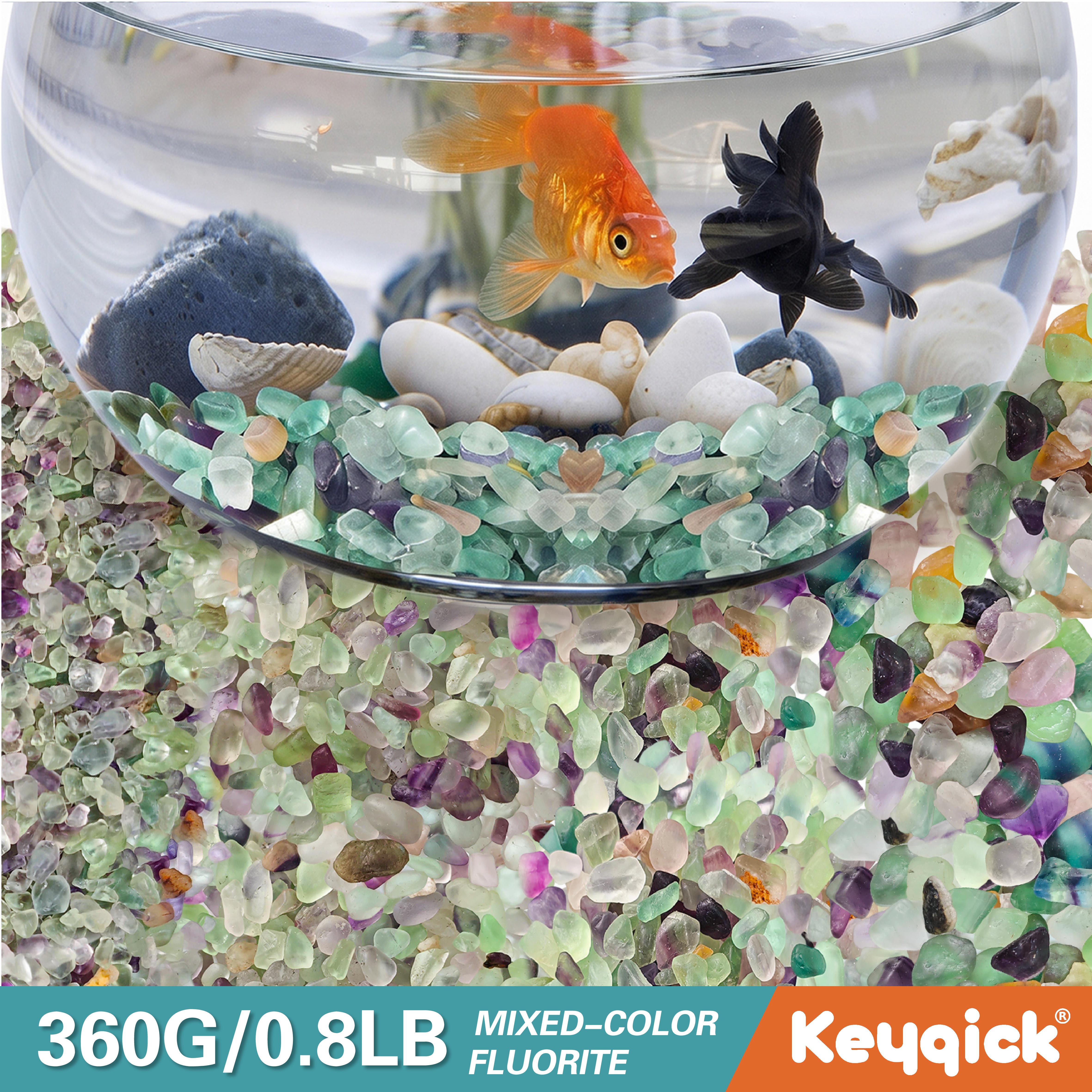 Planted Aquarium With Gravel - 360g Natural Fluorite Fragments Crystal Succulent