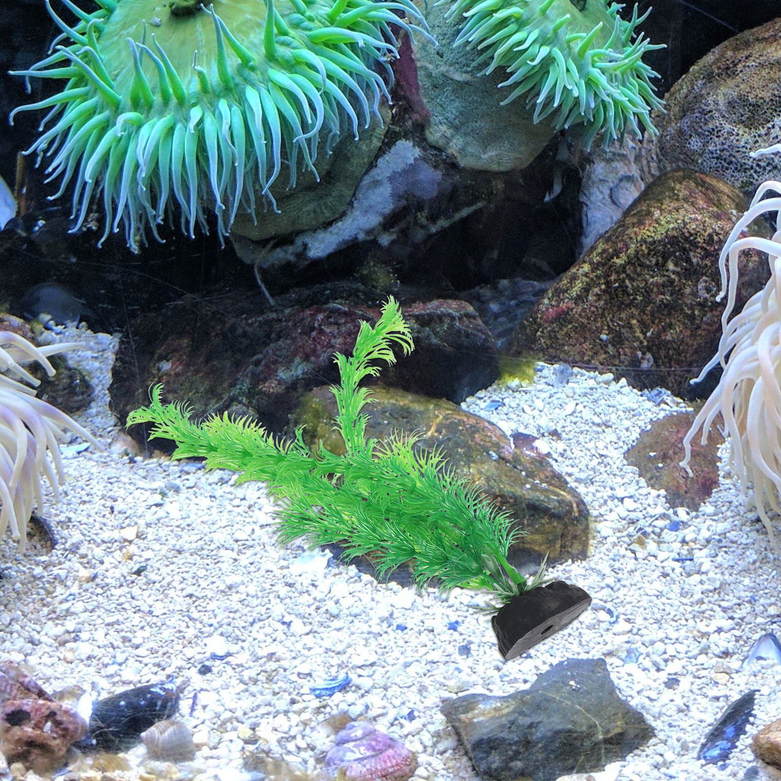 12pcs Plastic Aquarium Plants  - Planted Aquarium Models 评论和价格