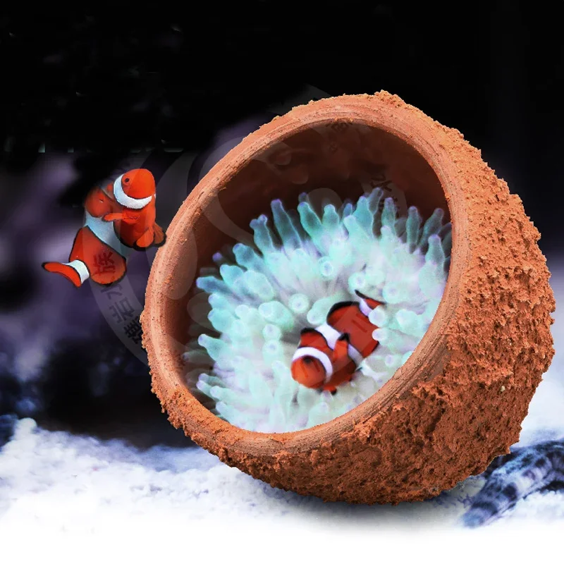 Anemone Nest Prevent Running A - Planted Aquarium With Rocks 评论和价格
