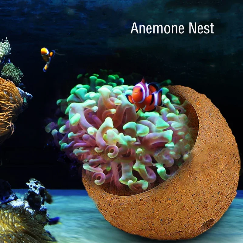 Anemone Nest Prevent Running A - Planted Aquarium With Rocks 评论和价格