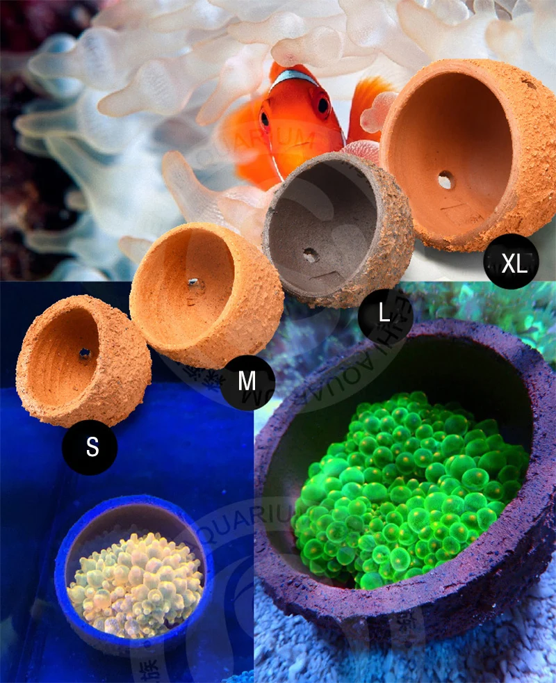 Anemone Nest Prevent Running A - Planted Aquarium With Rocks 评论和价格
