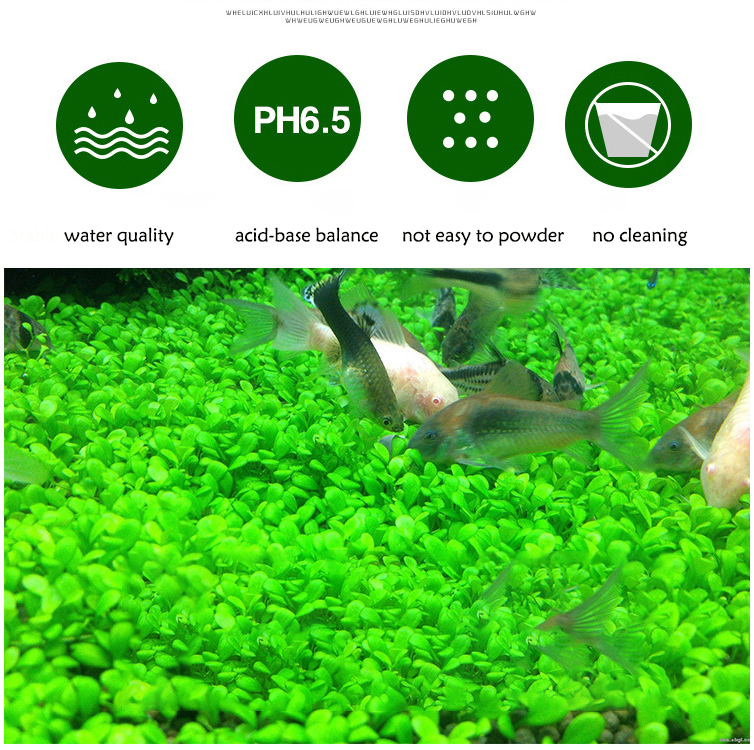 Aquarium Water Grass Mud Plant - Aquarium Planted Seeds 评论和价格