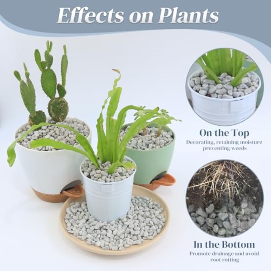 45LB Succulent Rocks, 1/4 Inch - Planted Aquarium With Rocks 评论和价格