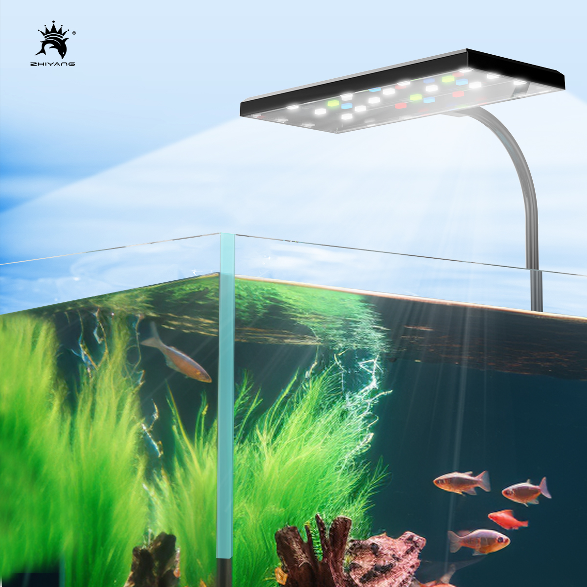 110-240V Aquarium Fish Tank Ba - Aquarium Planted Seeds 评论和价格