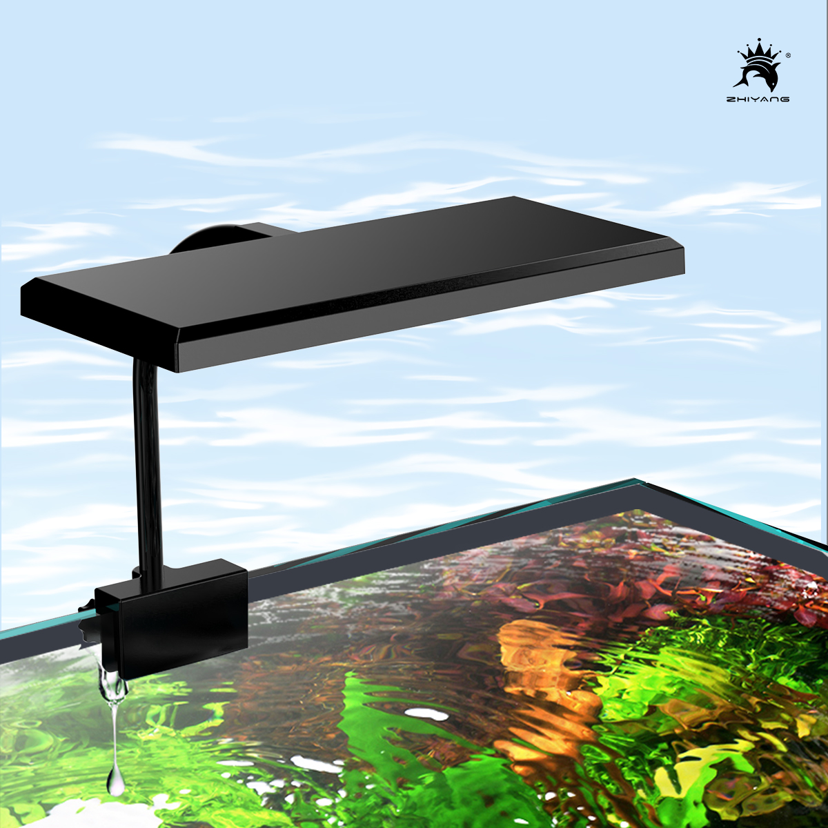 110-240V Aquarium Fish Tank Ba - Aquarium Planted Seeds 评论和价格