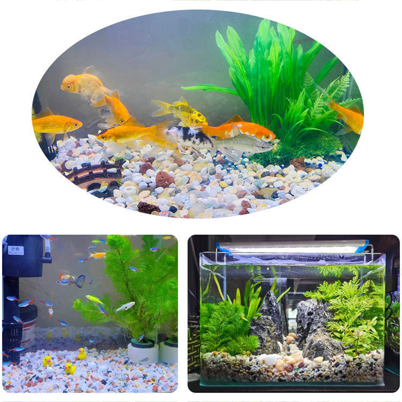 5mm Natural Aquarium Sand 200g - Planted Aquarium With Gravel 评论和价格