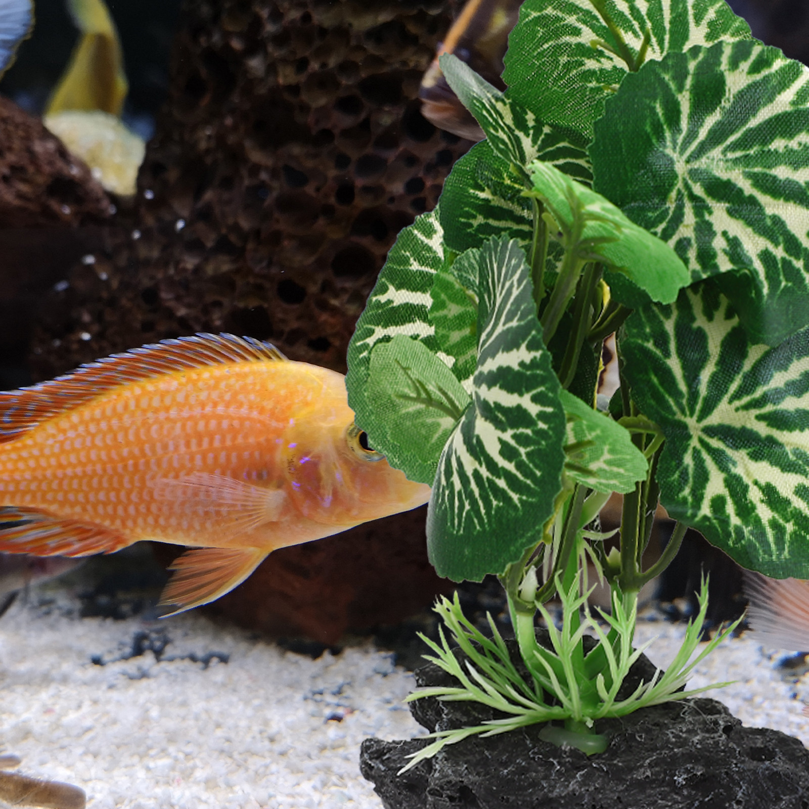 1Set Delicate Simulated Aquari - Planted Aquarium Models 评论和价格