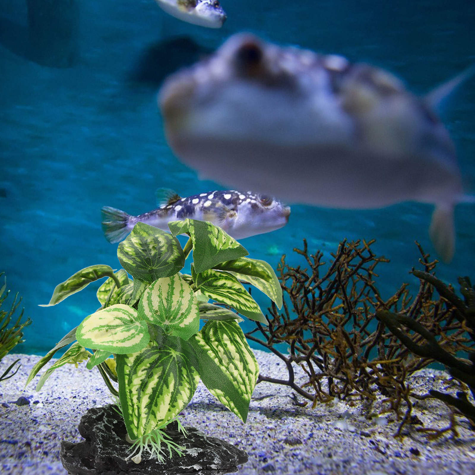 1Set Delicate Simulated Aquari - Planted Aquarium Models 评论和价格
