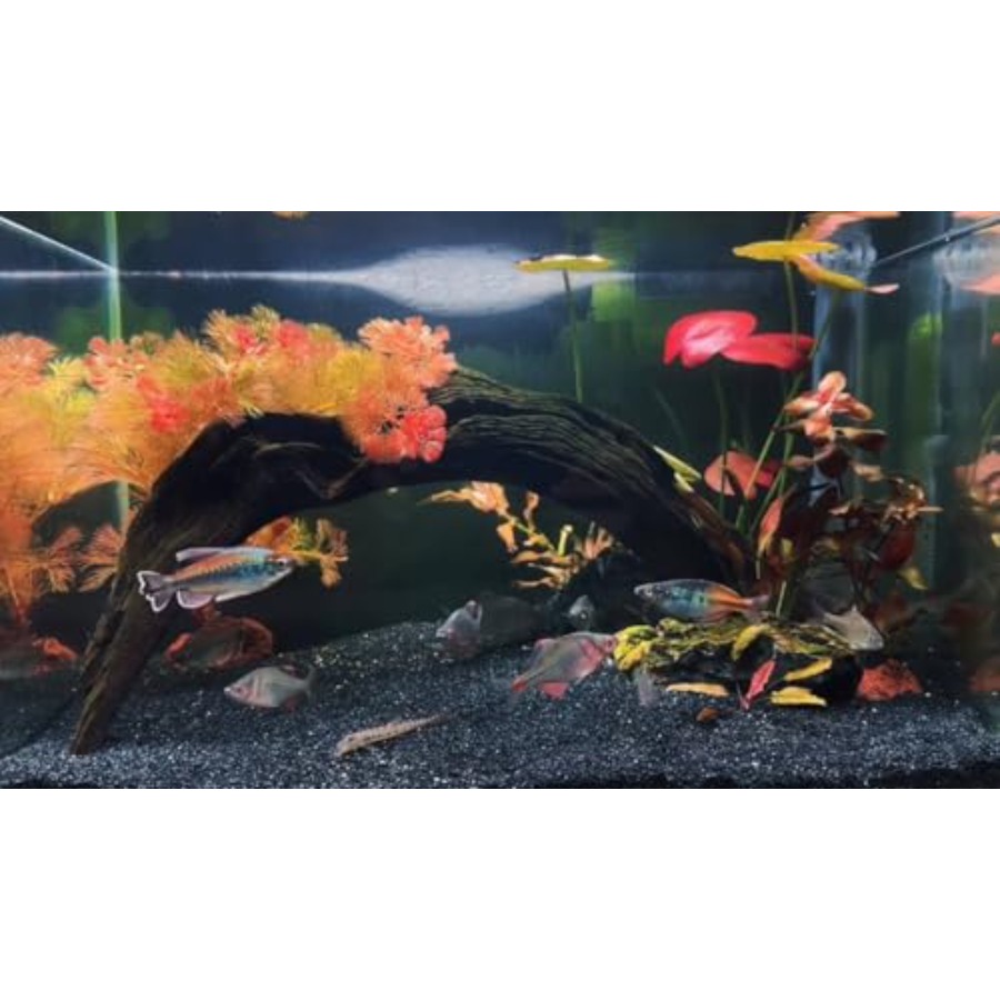 Aquarium Sand, 0 Fish Tank San - Planted Aquarium With Gravel 评论和价格