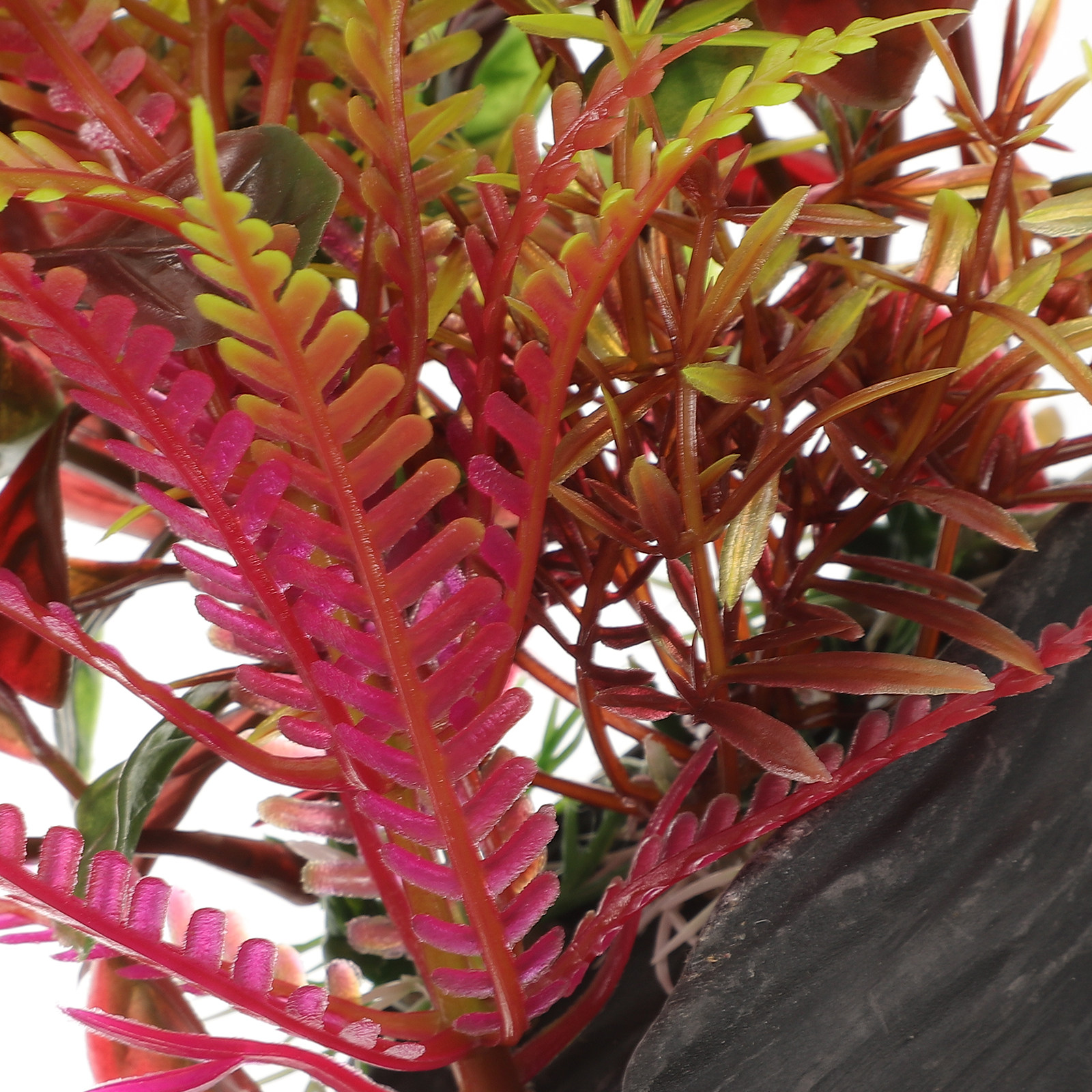 Fake Plants for Fish Tank Plas - Planted Aquarium Models 评论和价格