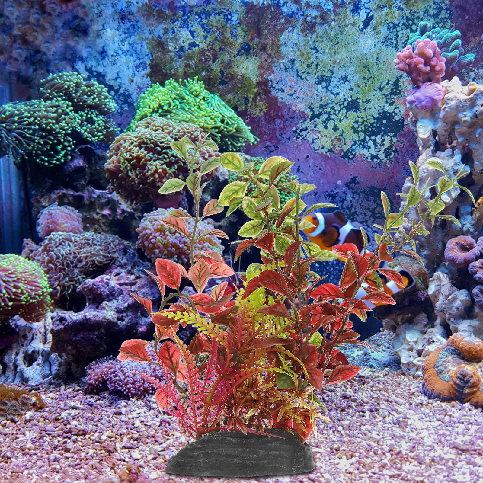 Fake Plants for Fish Tank Plas - Planted Aquarium Models 评论和价格