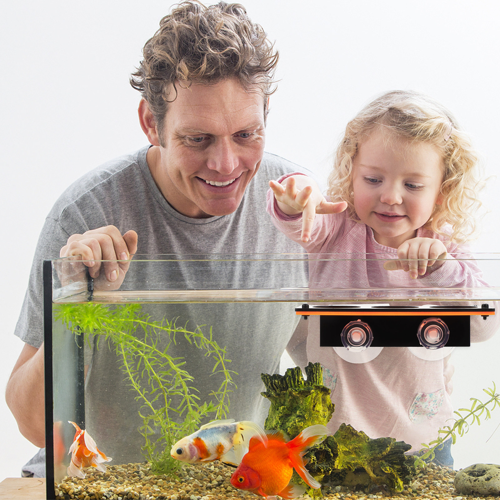 Coral Frag Rack Durable Acryli - Planted Aquarium Supplies 评论和价格