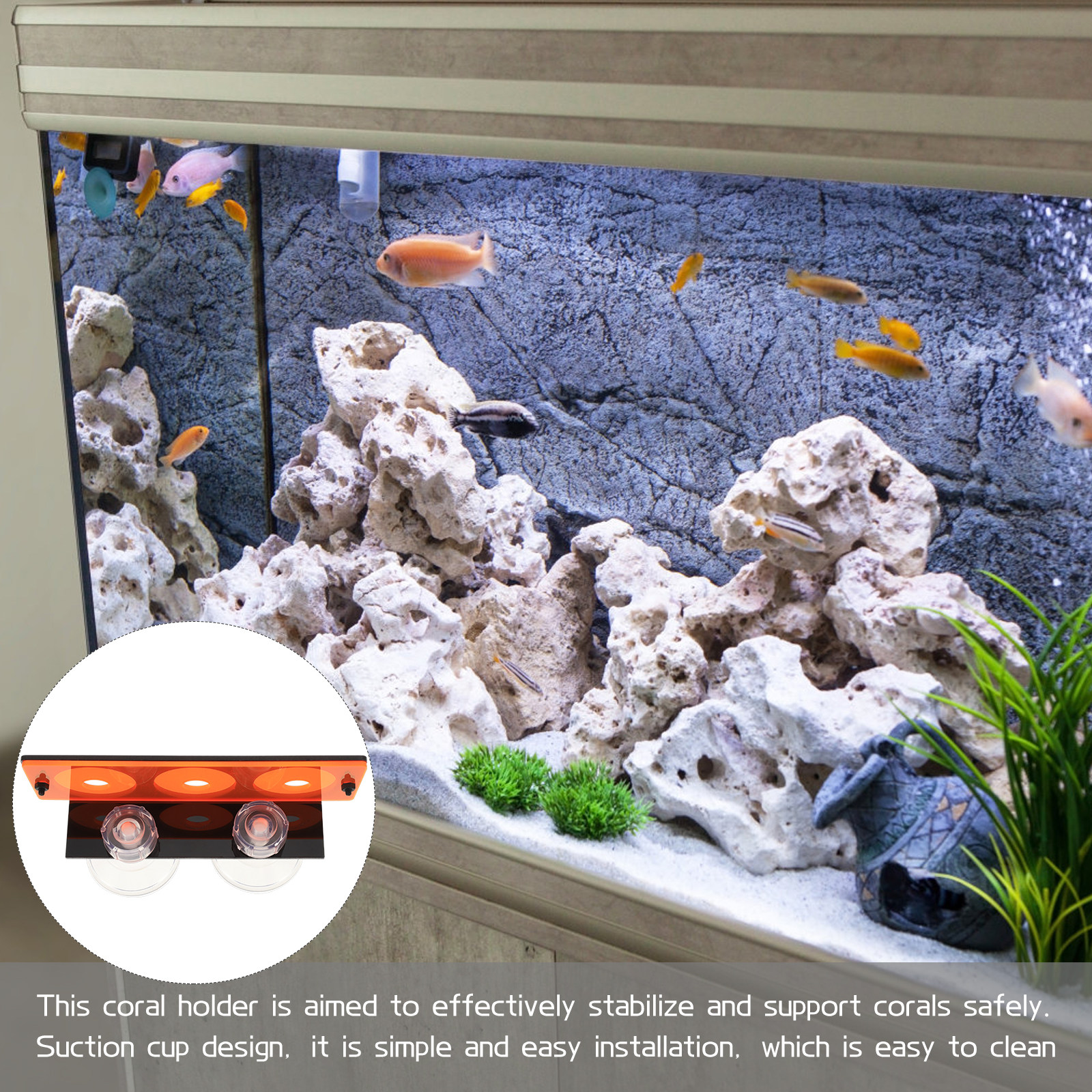 Coral Frag Rack Durable Acryli - Planted Aquarium Supplies 评论和价格