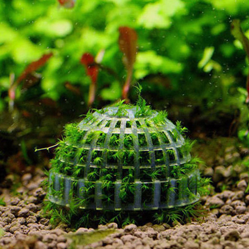1pc Aquatic Pet Supplies Decor - Planted Aquarium Models 评论和价格