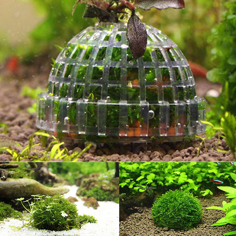 1pc Aquatic Pet Supplies Decor - Planted Aquarium Models 评论和价格