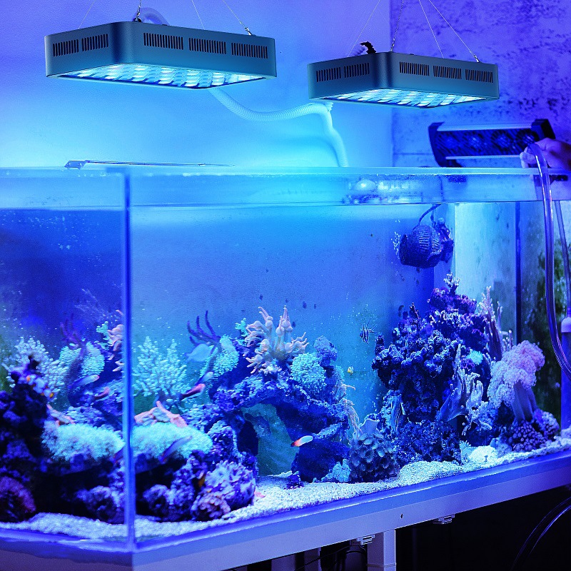 Wifi Control  Coral Reef 165w  - Planted Aquarium Models 评论和价格