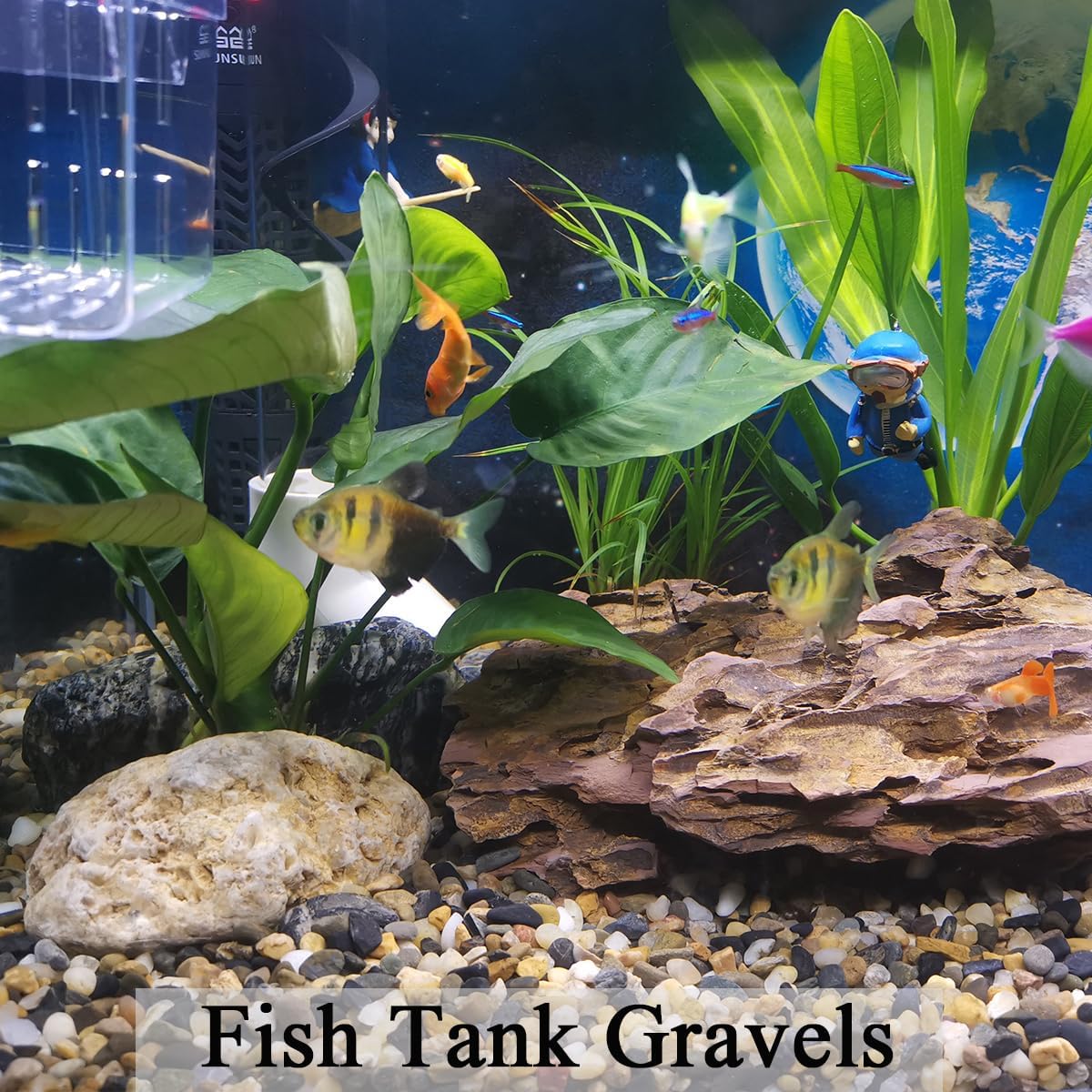 5 lbs Aquarium Gravel, Pea Gra - Planted Aquarium With Rocks 评论和价格