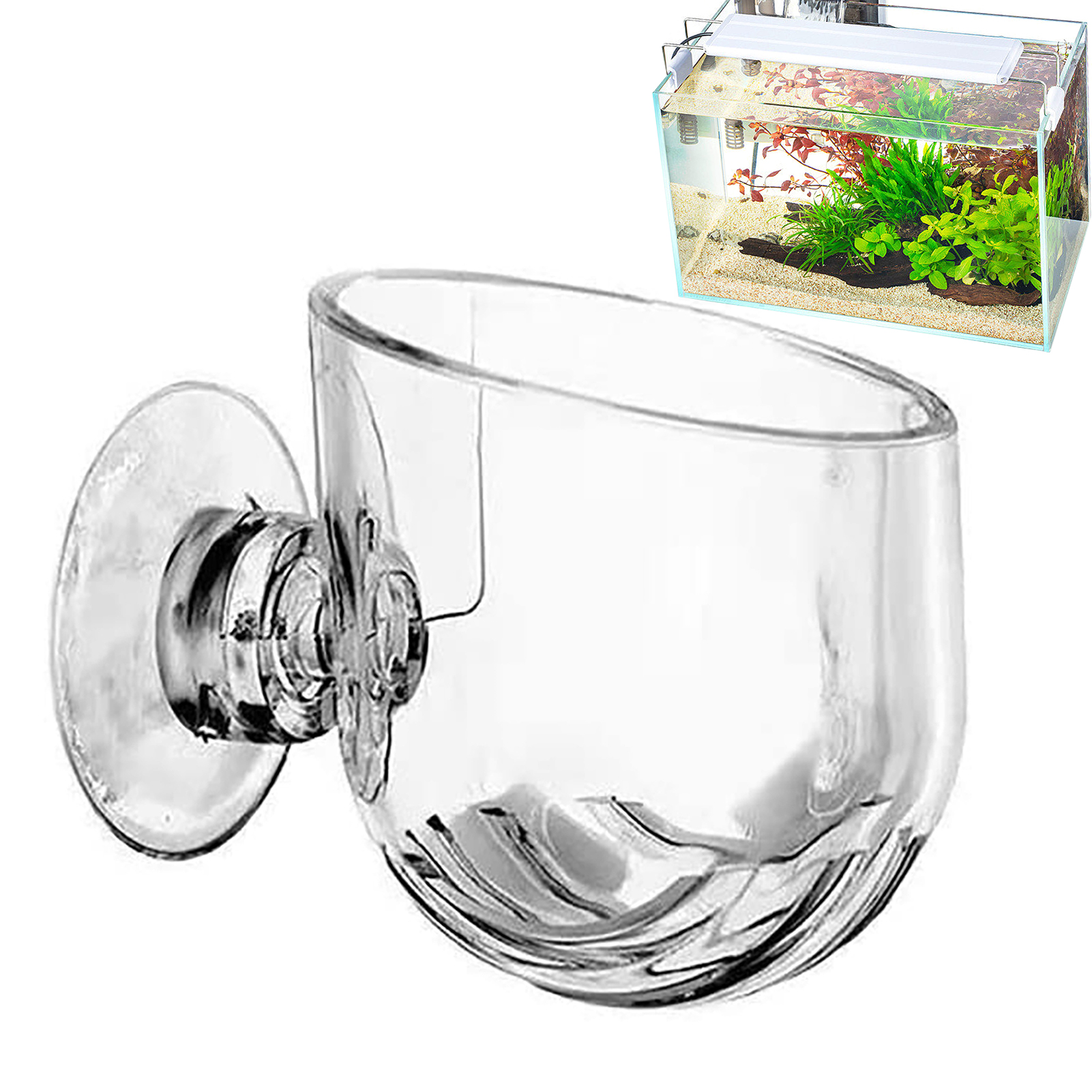 Aquarium Plant Pot Glass Cylin - Aquarium Planted Seeds 评论和价格