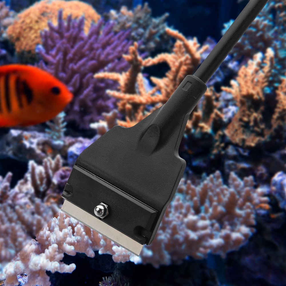 Stainless Steel Aquarium Fish  - Planted Aquarium Maintenance Kit 评论和价格