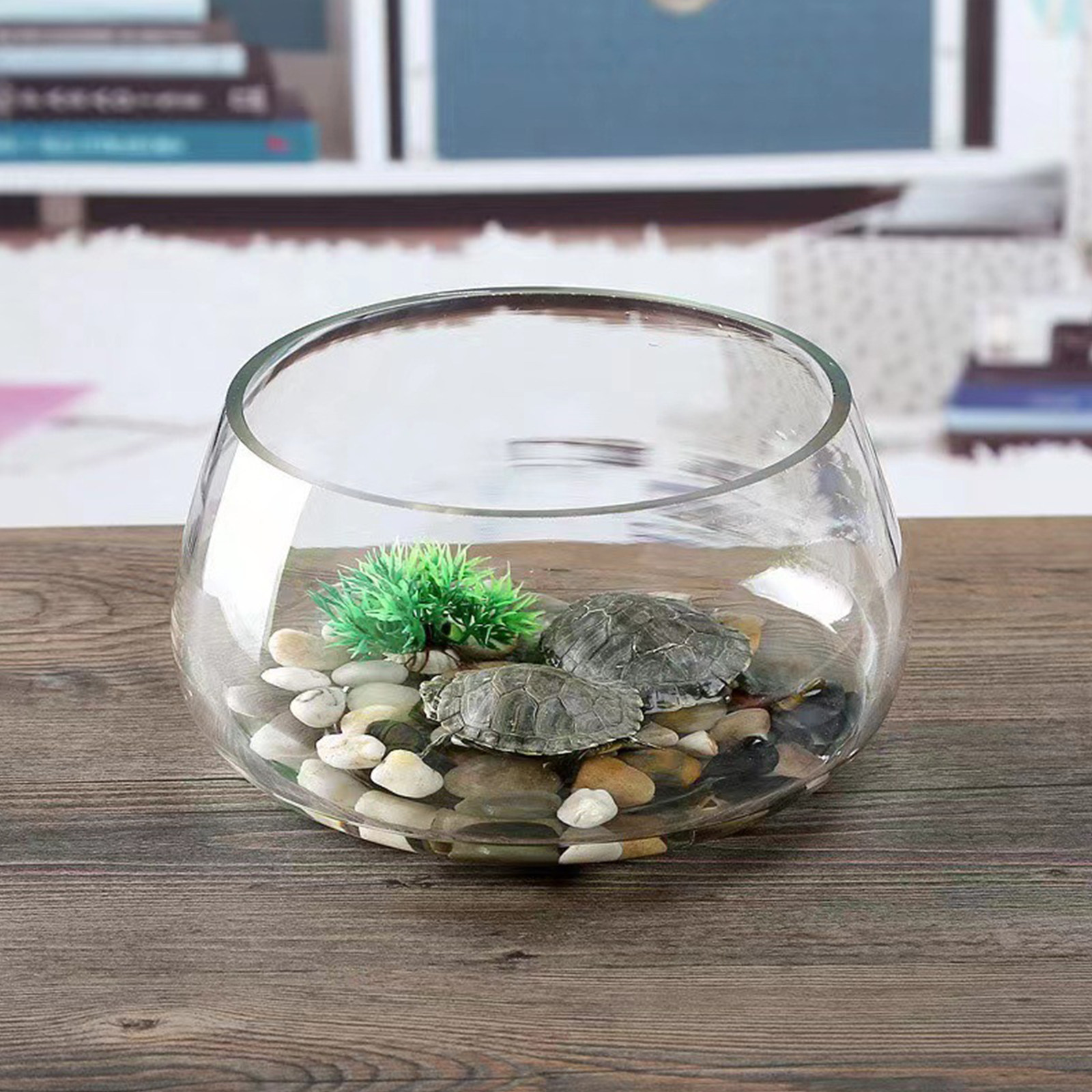 Round Mini Aquarium Tank Clear - Planted Aquarium Mini 评论和价格