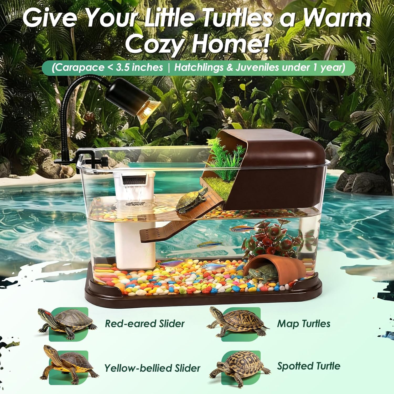 Turtle Tank Starter Kit,PC Tur - Planted Aquarium Starter Kit 评论和价格