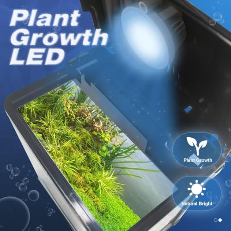 Small Fish Tank, Glass Aquariu - Planted Aquarium Starter Kit 评论和价格