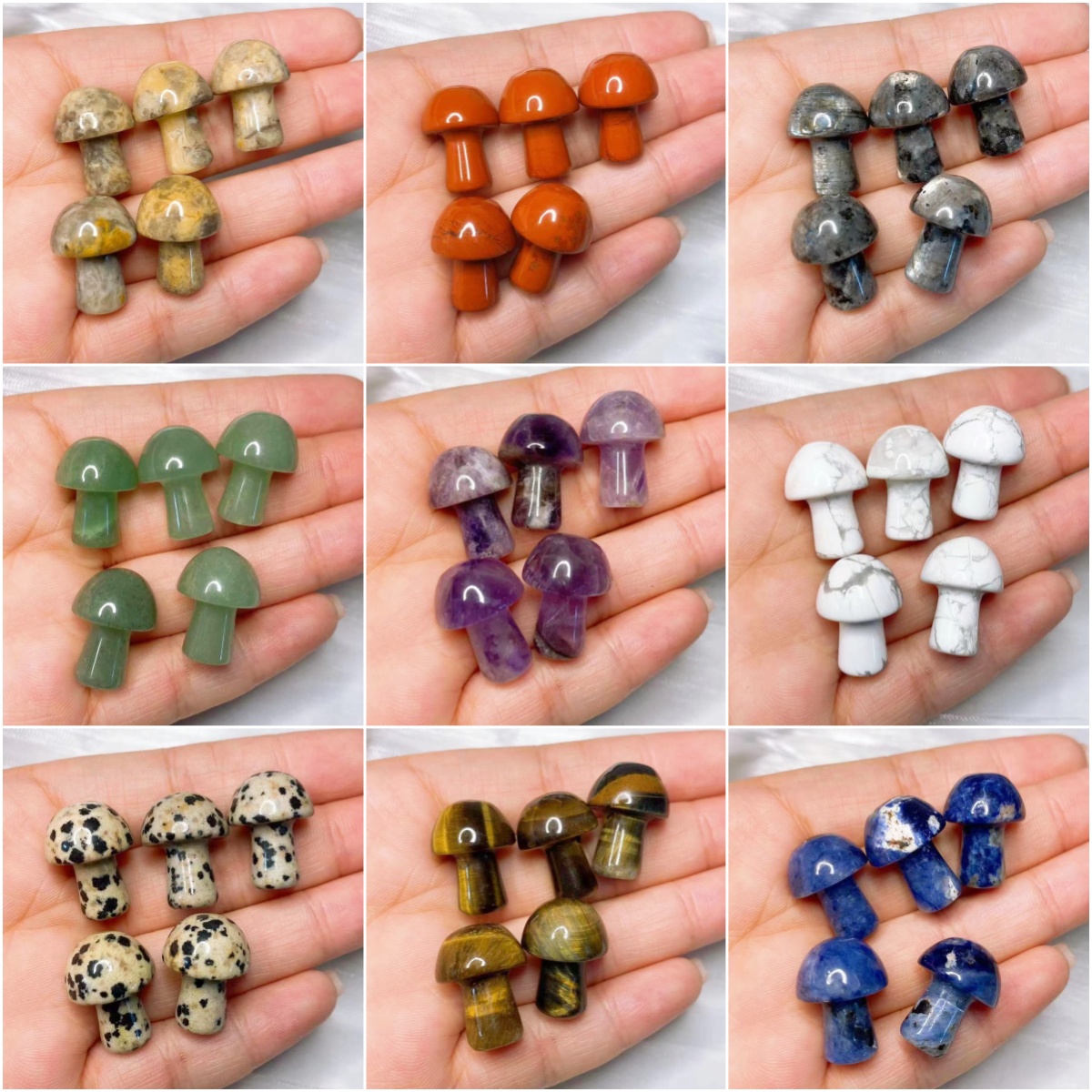 Natural Crystal Mini Mushroom  - Planted Aquarium Mini 评论和价格