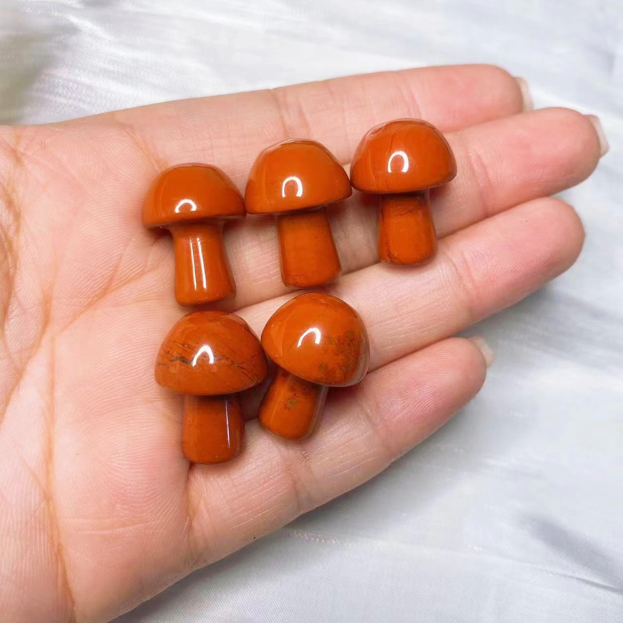 Natural Crystal Mini Mushroom  - Planted Aquarium Mini 评论和价格