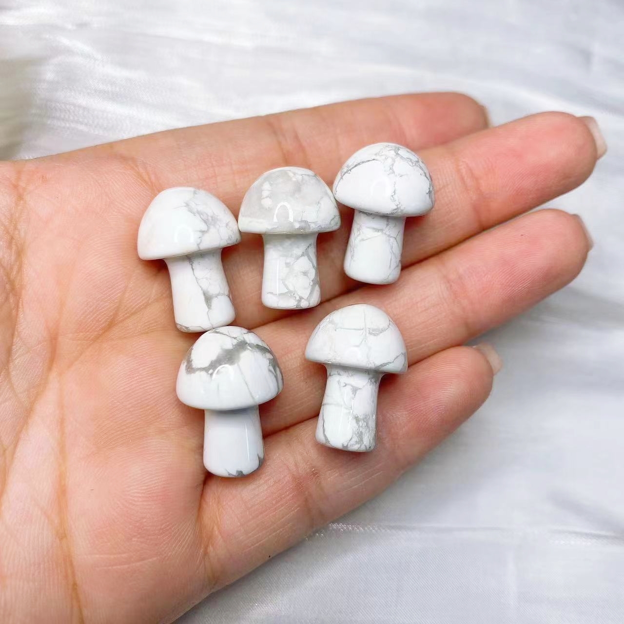 Natural Crystal Mini Mushroom  - Planted Aquarium Mini 评论和价格
