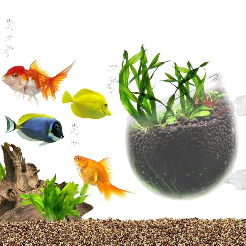 New Aquarium Plant Pot Glass C - Aquarium Planted Seeds 评论和价格