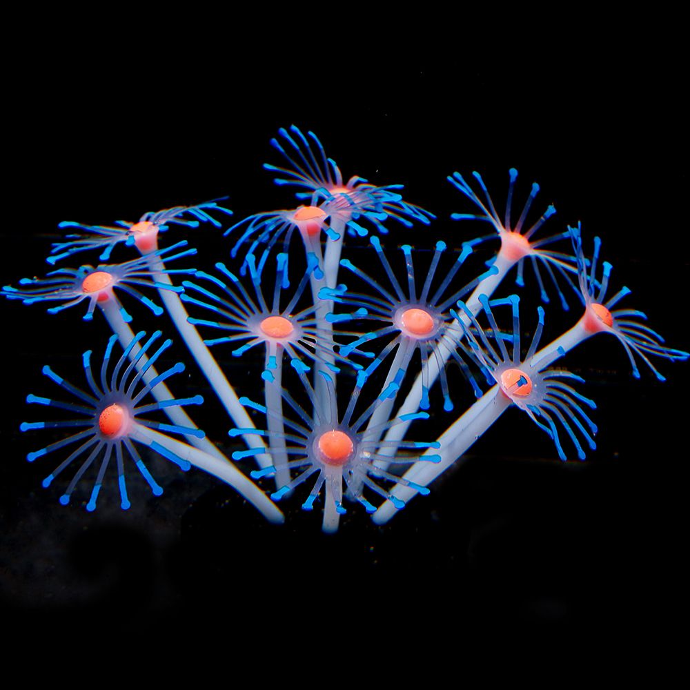 1Pc Silicone Glowing Artificia - Planted Aquarium Supplies 评论和价格