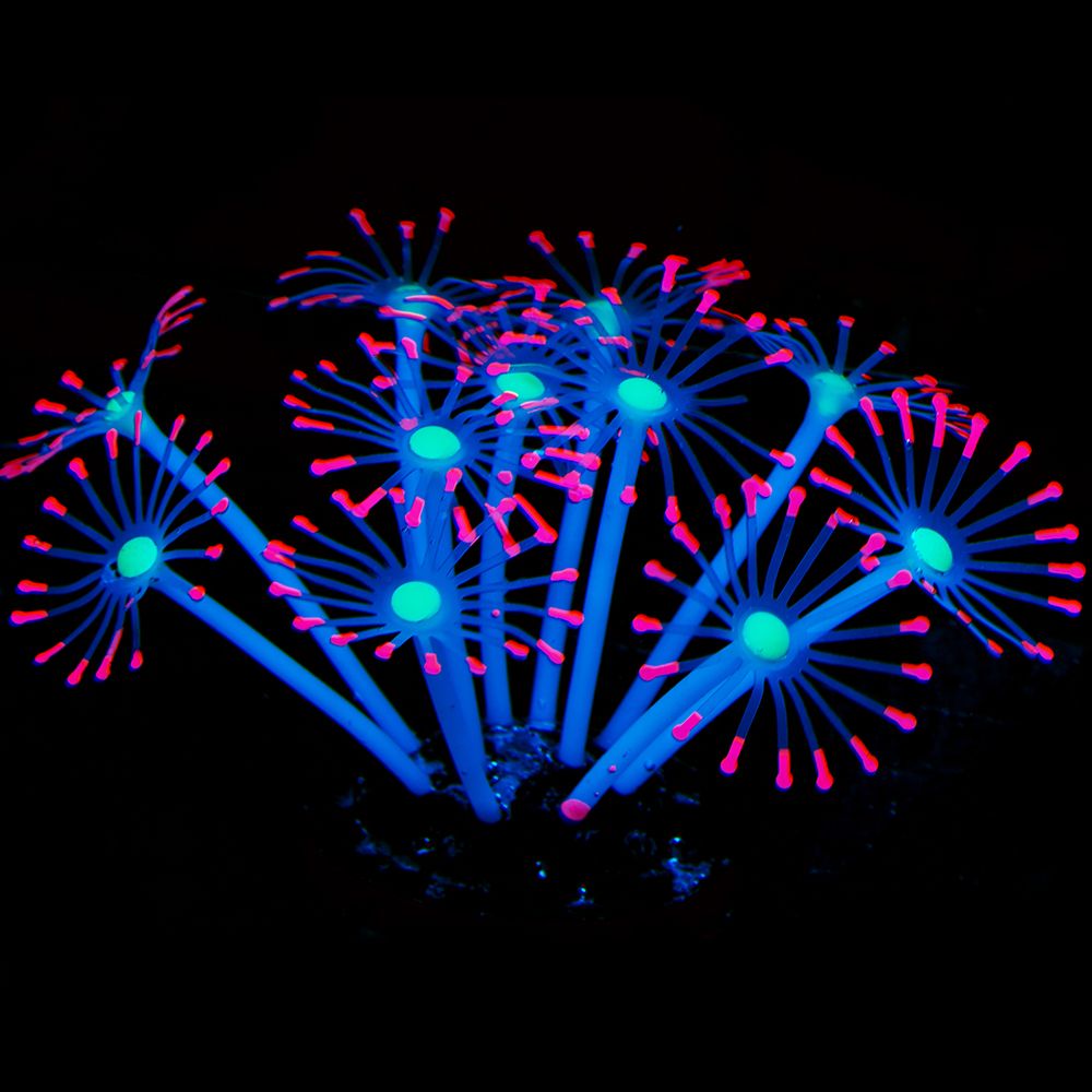 1Pc Silicone Glowing Artificia - Planted Aquarium Supplies 评论和价格