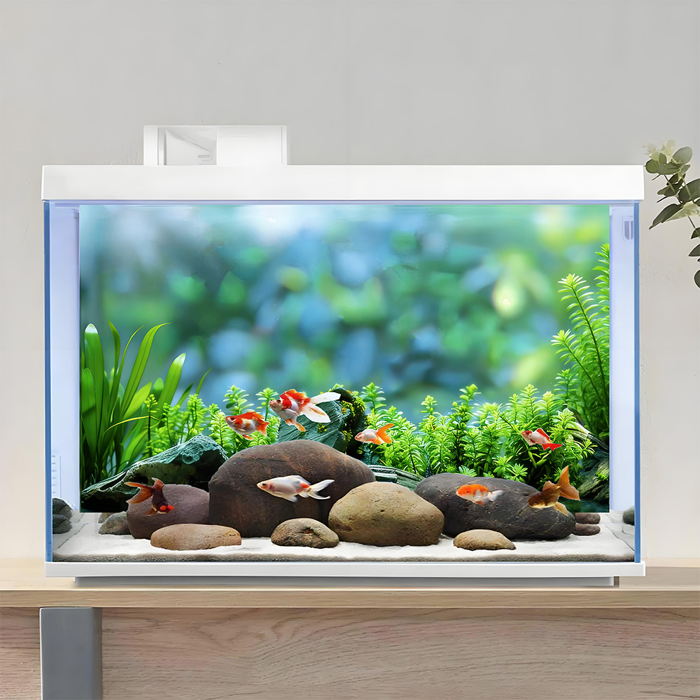 Rock and aquatic plants,Fish t - Planted Aquarium With Rocks 评论和价格