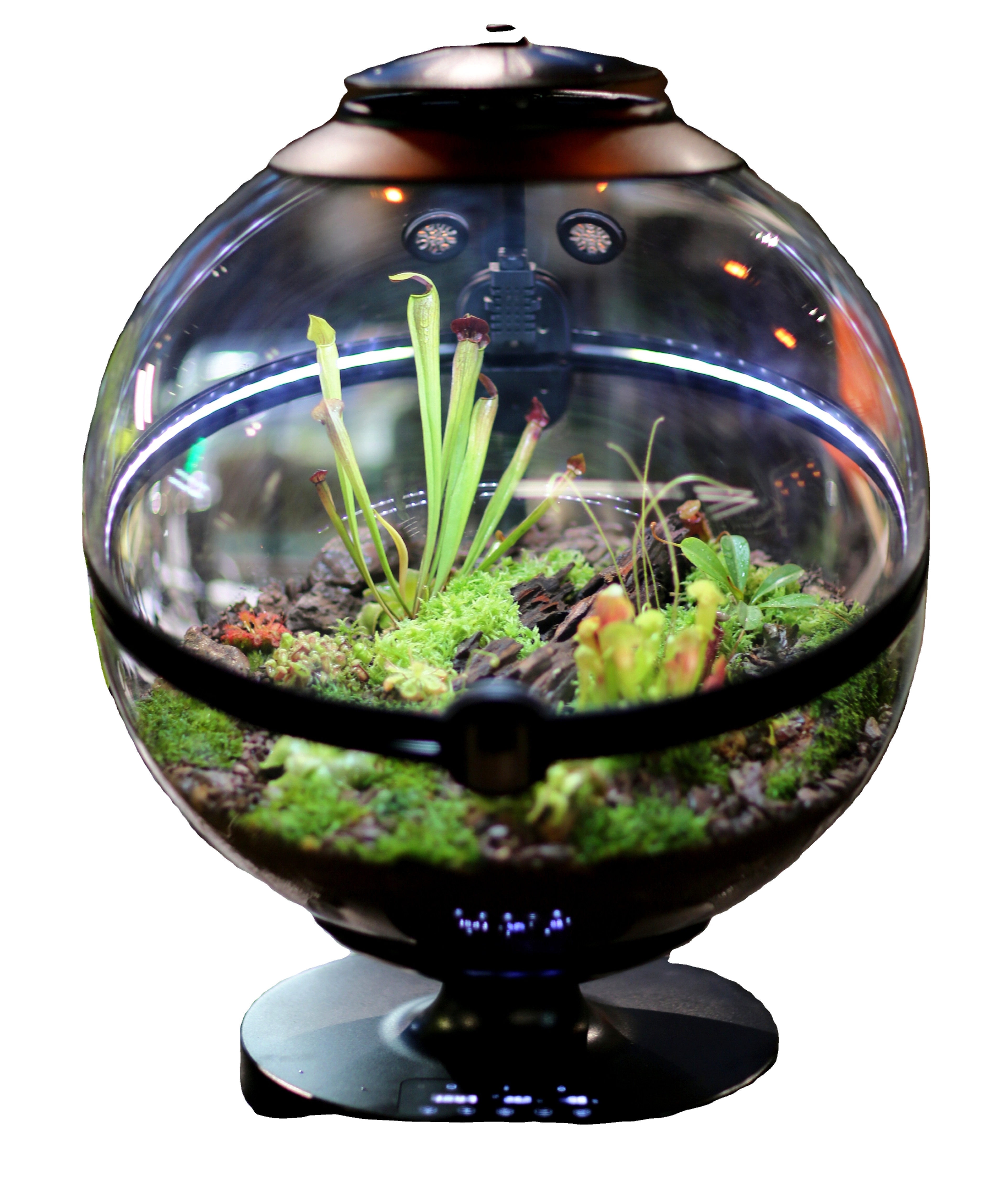 Hot Sales Acrylic Material  Ba - Planted Aquarium Equipment 评论和价格