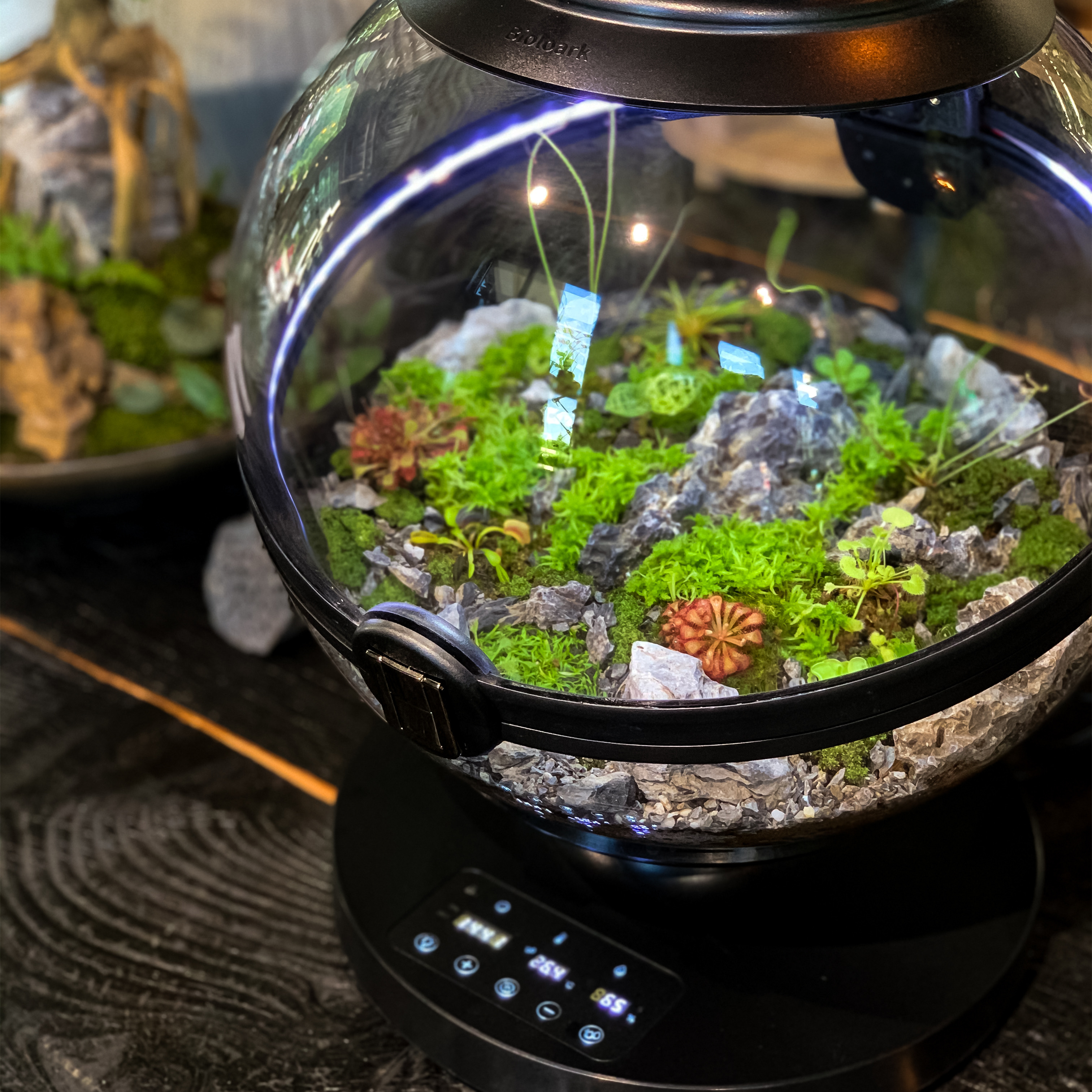 Hot Sales Acrylic Material  Ba - Planted Aquarium Equipment 评论和价格