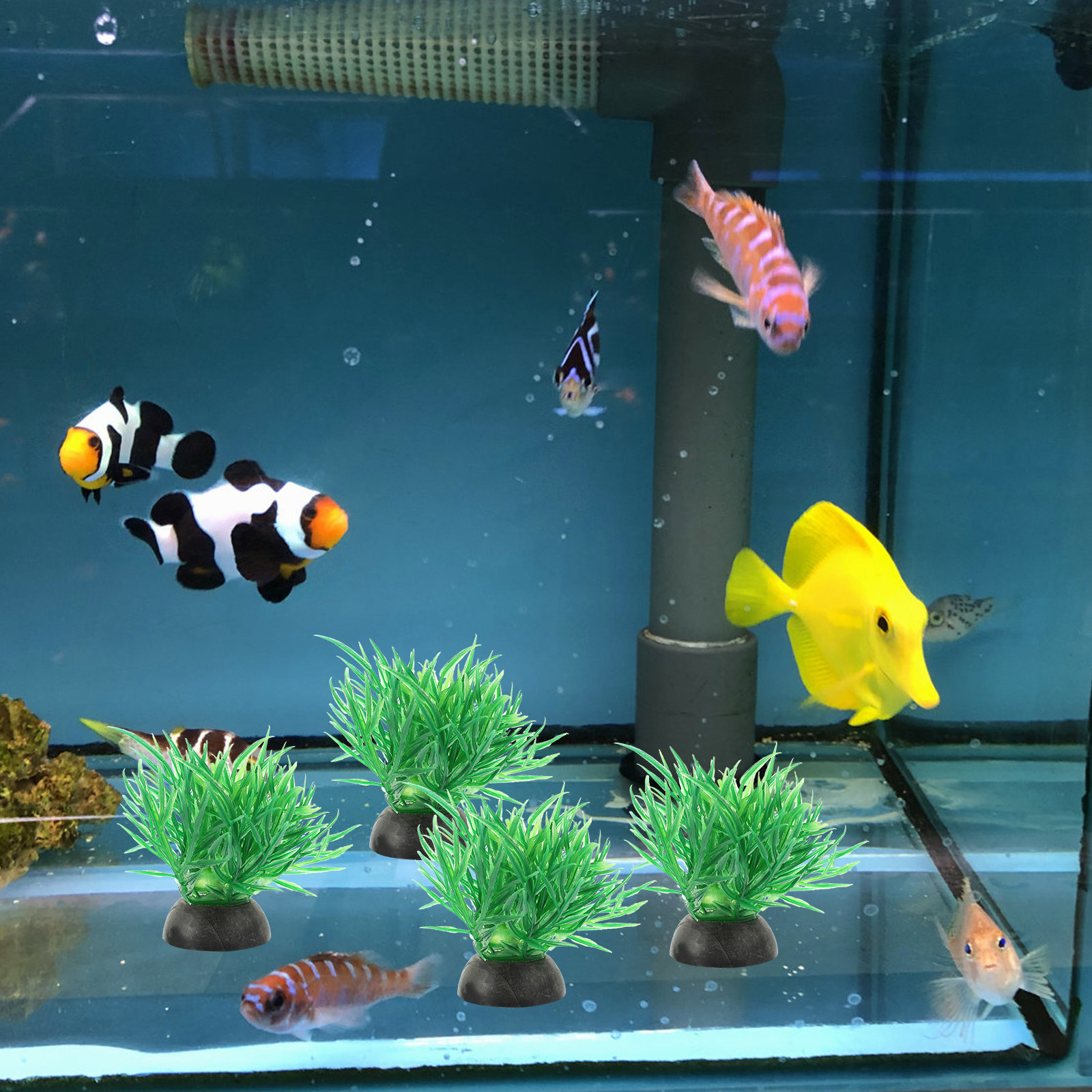 20Pcs Plastic Aquarium Plants  - Planted Aquarium Models 评论和价格