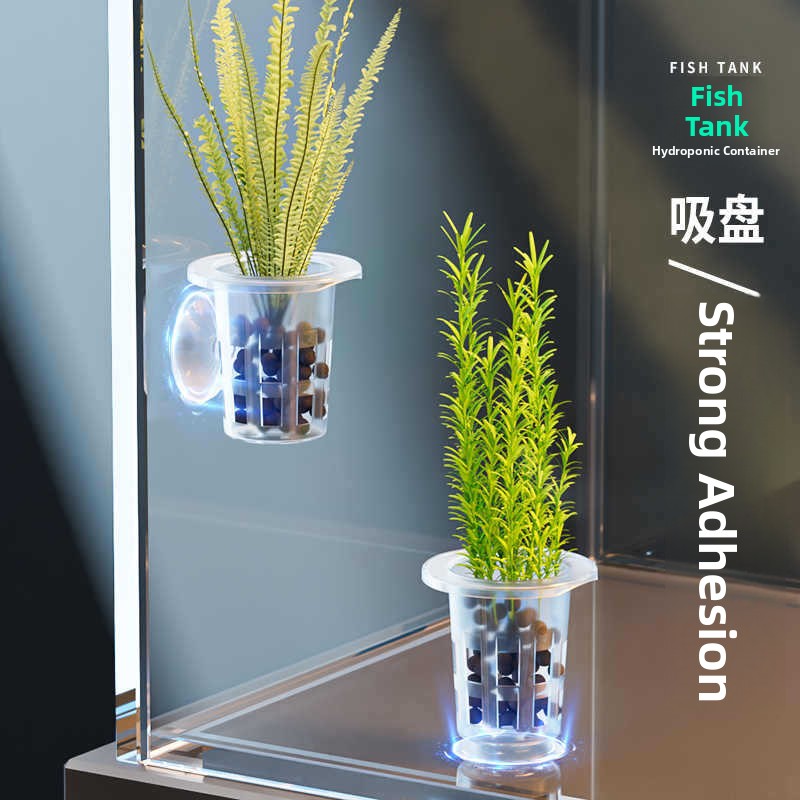 Floating Aquatic Plant Fixing  - Planted Aquarium Supplies 评论和价格