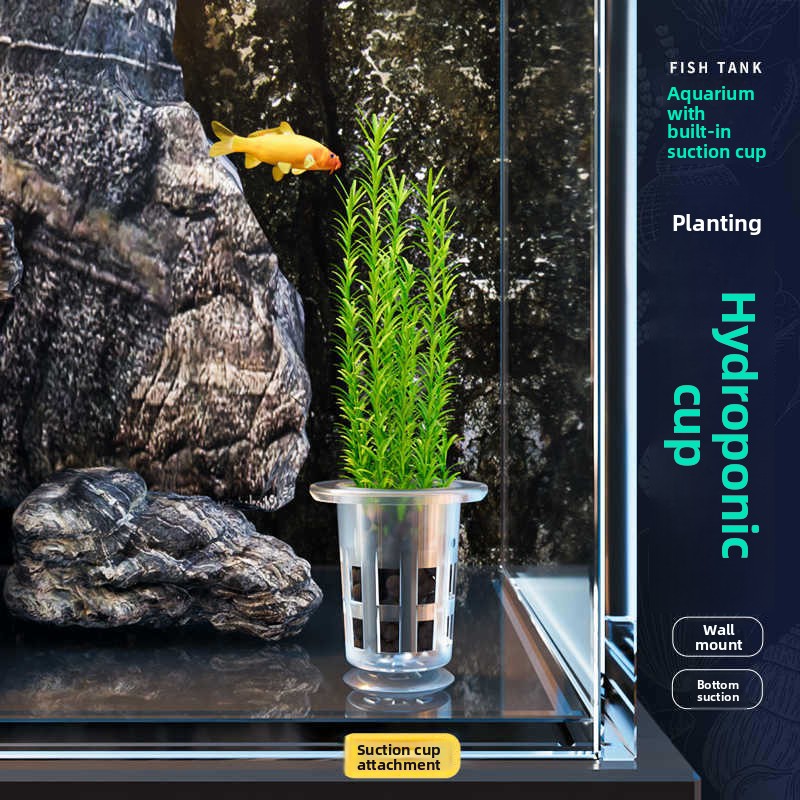 Floating Aquatic Plant Fixing  - Planted Aquarium Supplies 评论和价格