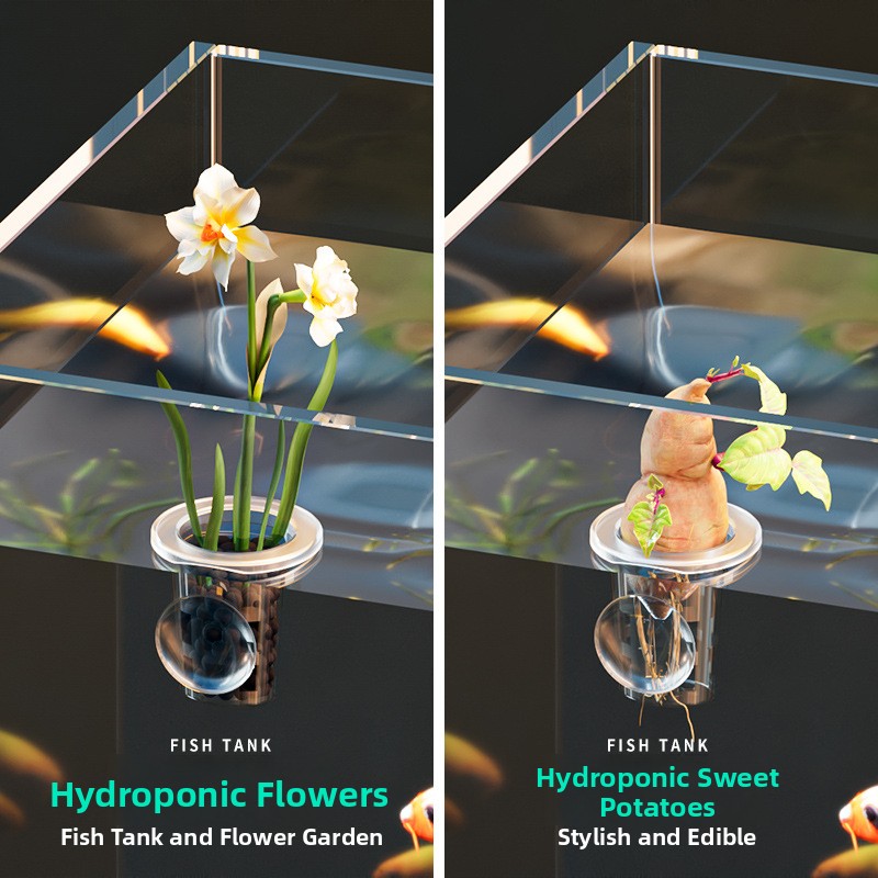 Floating Aquatic Plant Fixing  - Planted Aquarium Supplies 评论和价格