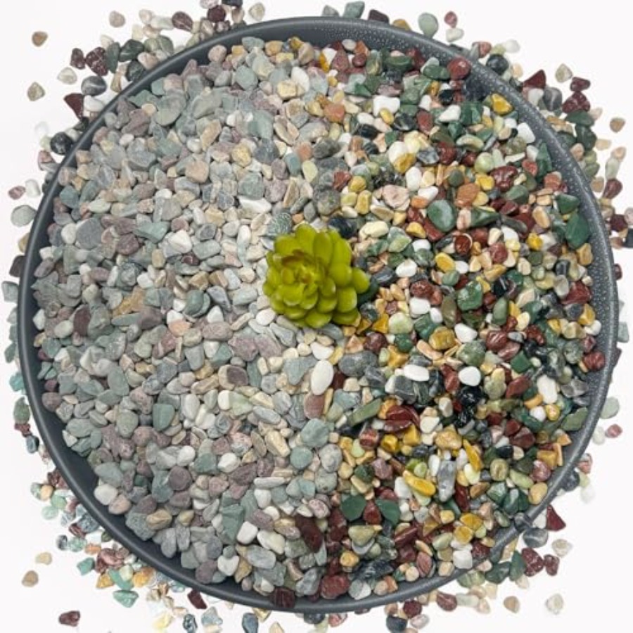 45LB Succulents Rocks for Plan - Planted Aquarium With Rocks 评论和价格