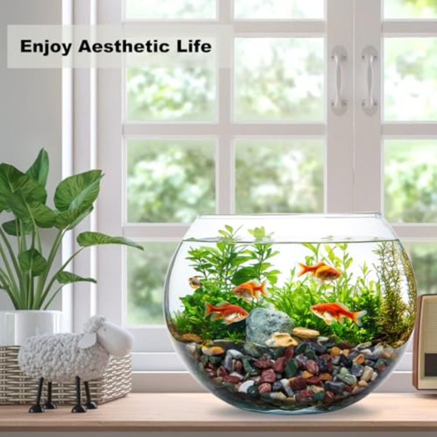 45LB Succulents Rocks for Plan - Planted Aquarium With Rocks 评论和价格