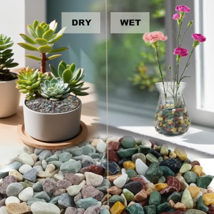45LB Succulents Rocks for Plan - Planted Aquarium With Rocks 评论和价格