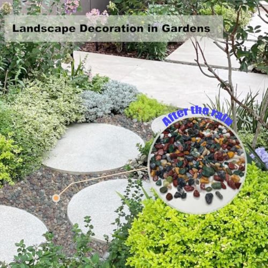 45LB Succulents Rocks for Plan - Planted Aquarium With Rocks 评论和价格