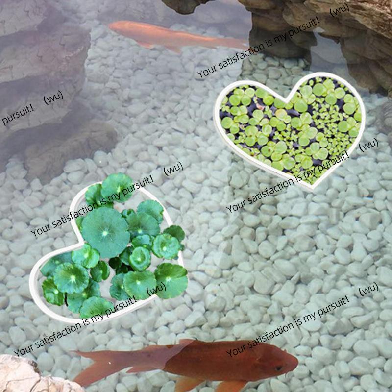 Aquarium Floating Plant Rings  - Planted Aquarium Supplies 评论和价格