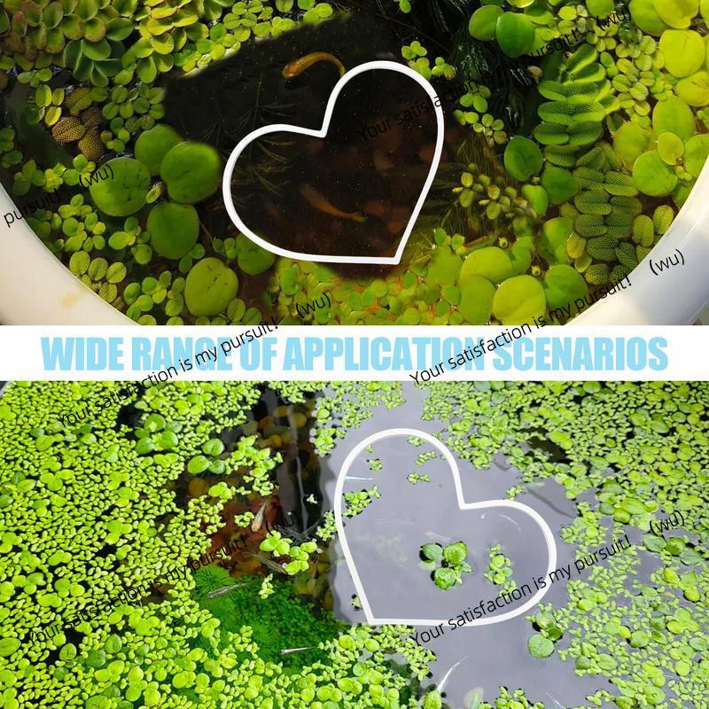 Aquarium Floating Plant Rings  - Planted Aquarium Supplies 评论和价格