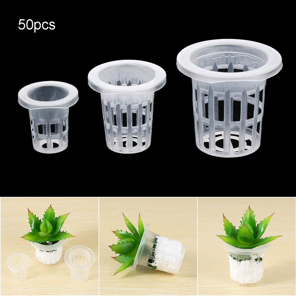 10/50pcs Garden Supplies Aquar - Aquarium Planted Seeds 评论和价格