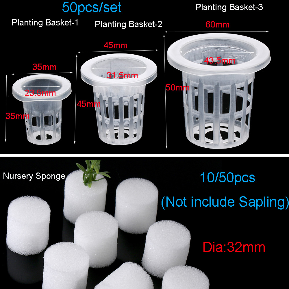 10/50pcs Garden Supplies Aquar - Aquarium Planted Seeds 评论和价格