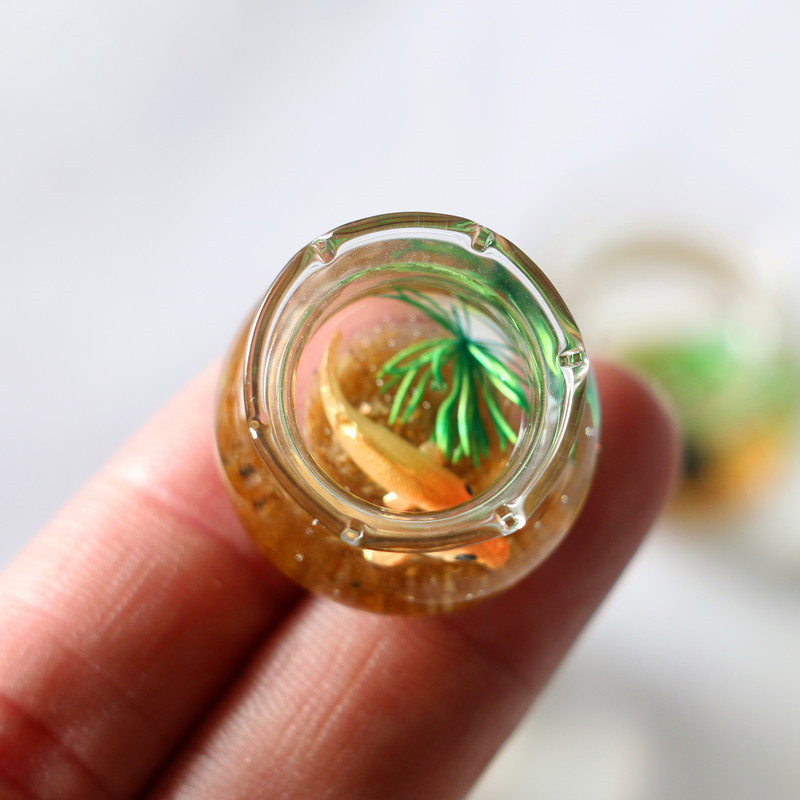 1Pc 1:12 Mini DollHouse Simula - Planted Aquarium Models 评论和价格